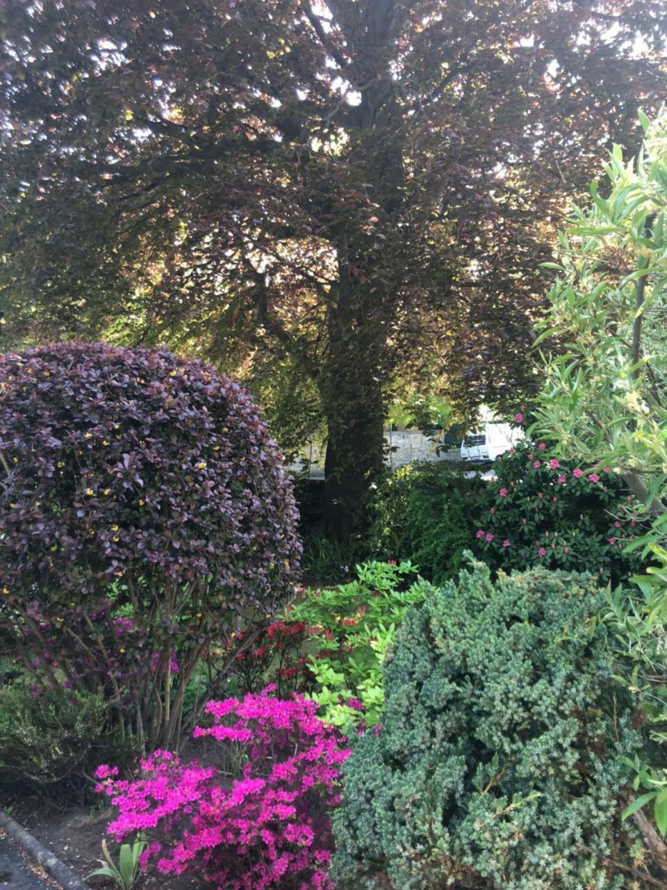 Claremont House Bed & Breakfast เอดินบะระ ภายนอก รูปภาพ